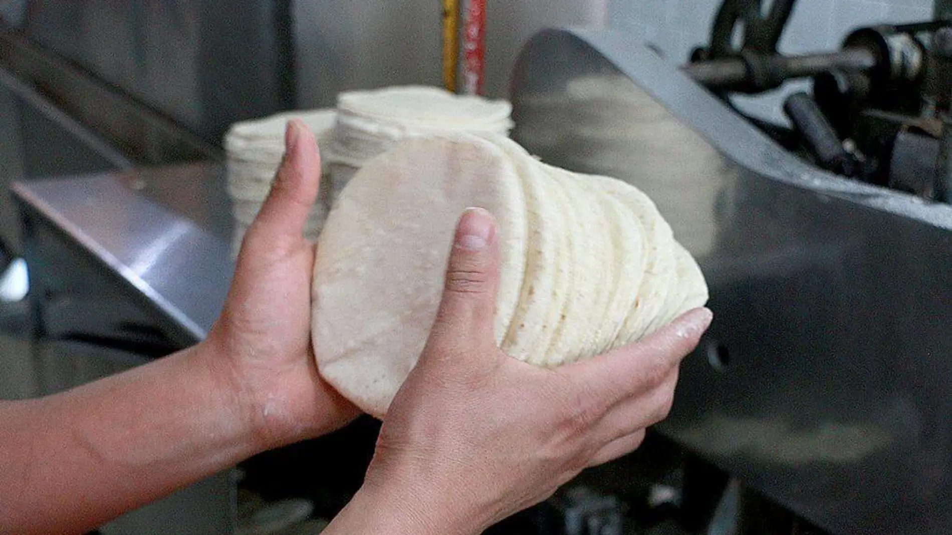 Personas sosteniendo tortillas